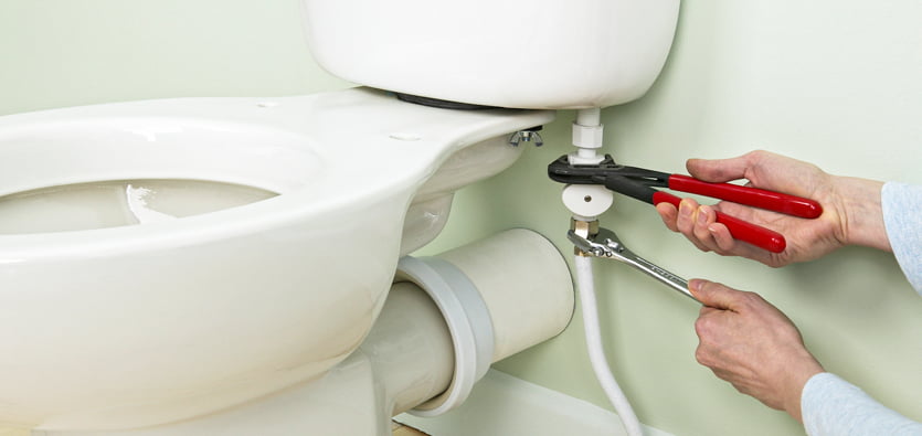 How to Remove or Replace a Toilet Seat